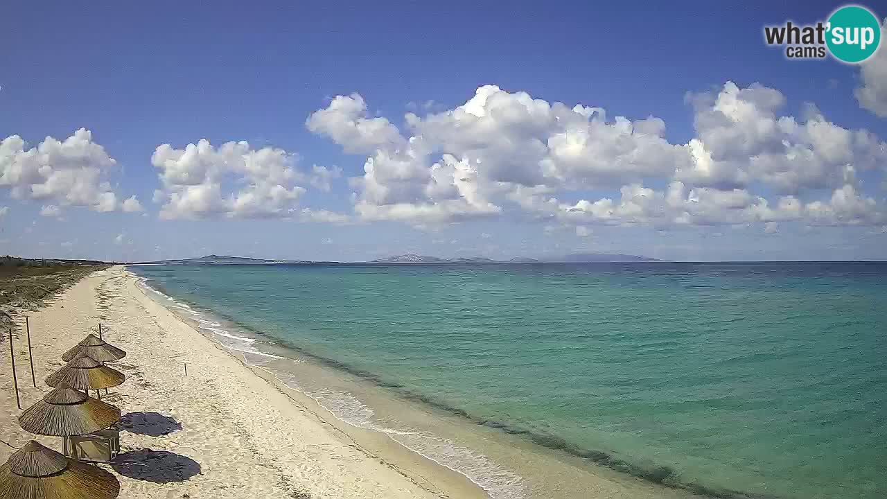 Beach Le Saline webcam live Stintino – Sardinia