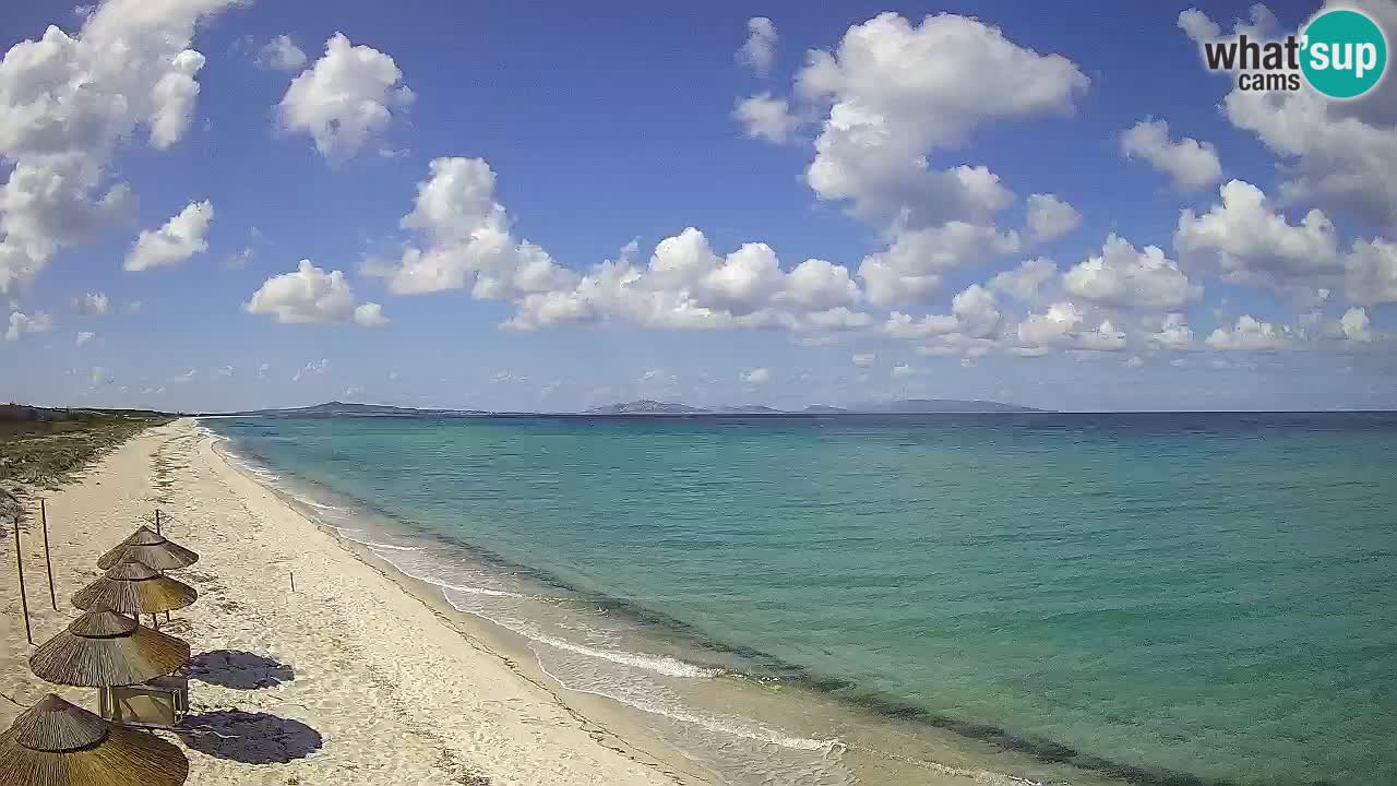 Playa Le Saline camera en vivo Stintino – Cerdeña