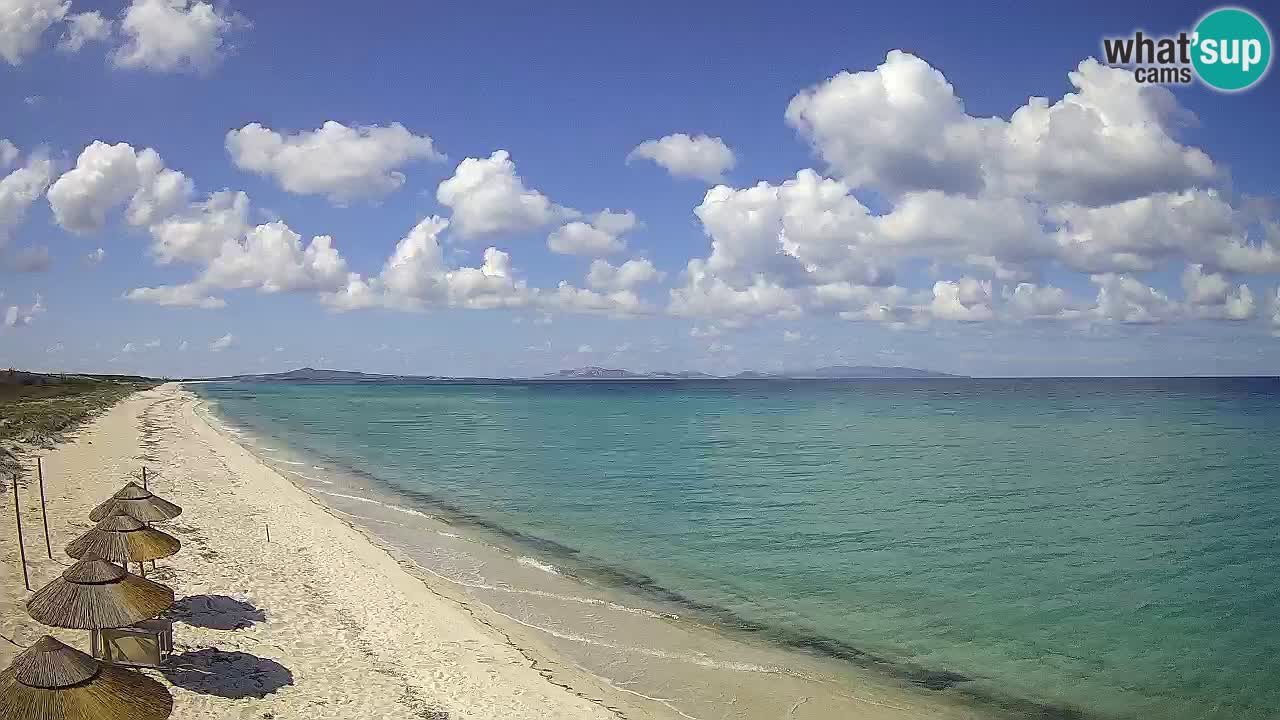 Spiaggia Le Saline webcam Stintino – Sardegna