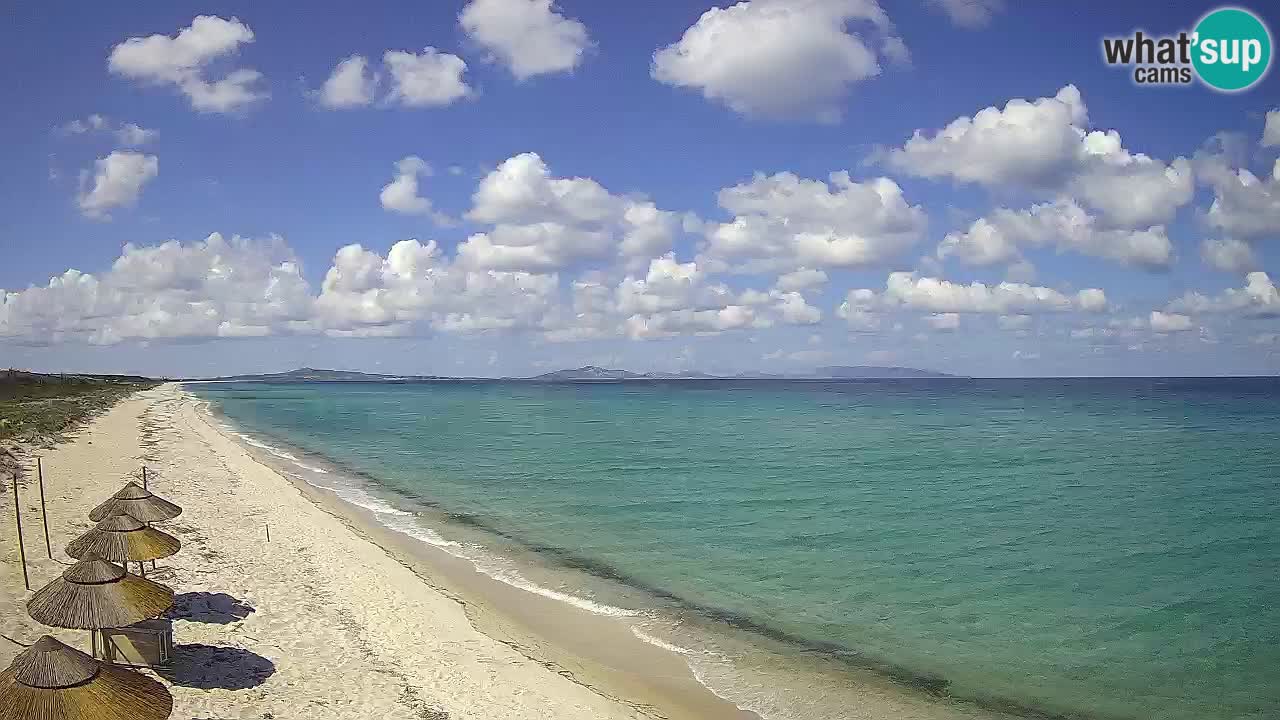Plaža Le Saline web kamera Stintino – Sardinija