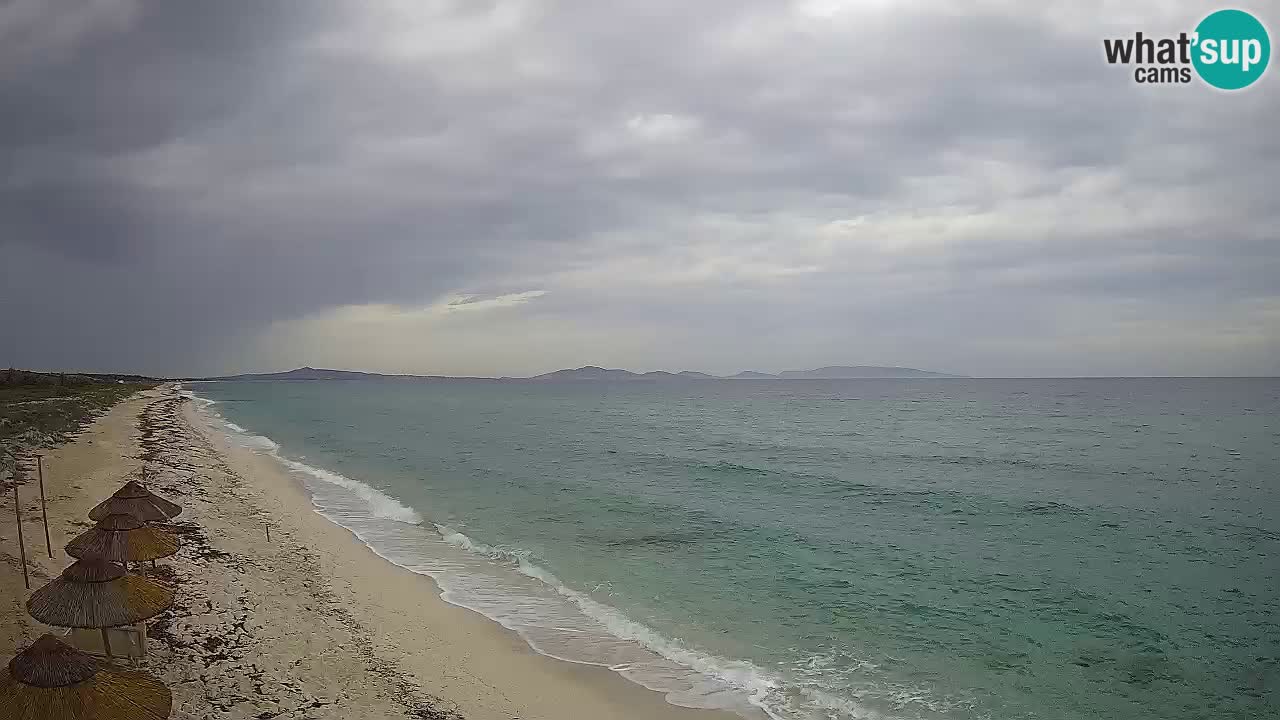 Plaža Le Saline spletna kamera Stintino – Sardinija