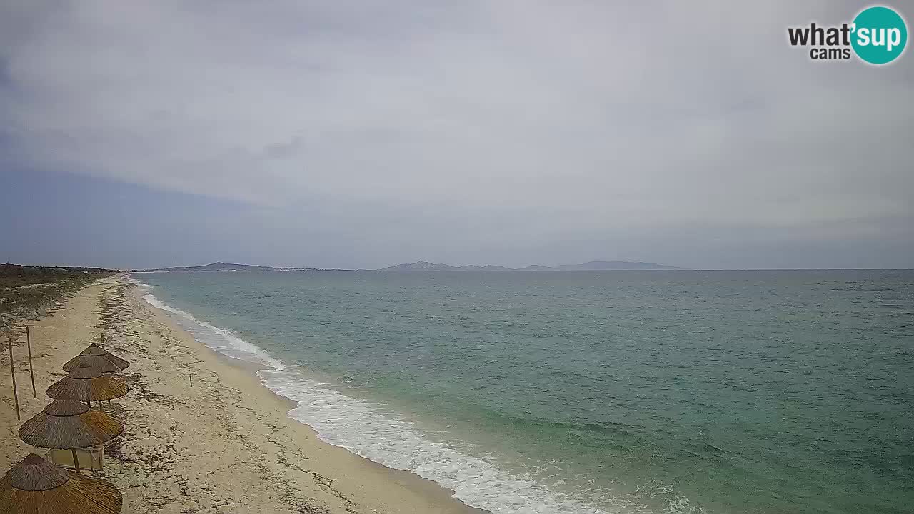 Beach Le Saline webcam live Stintino – Sardinia