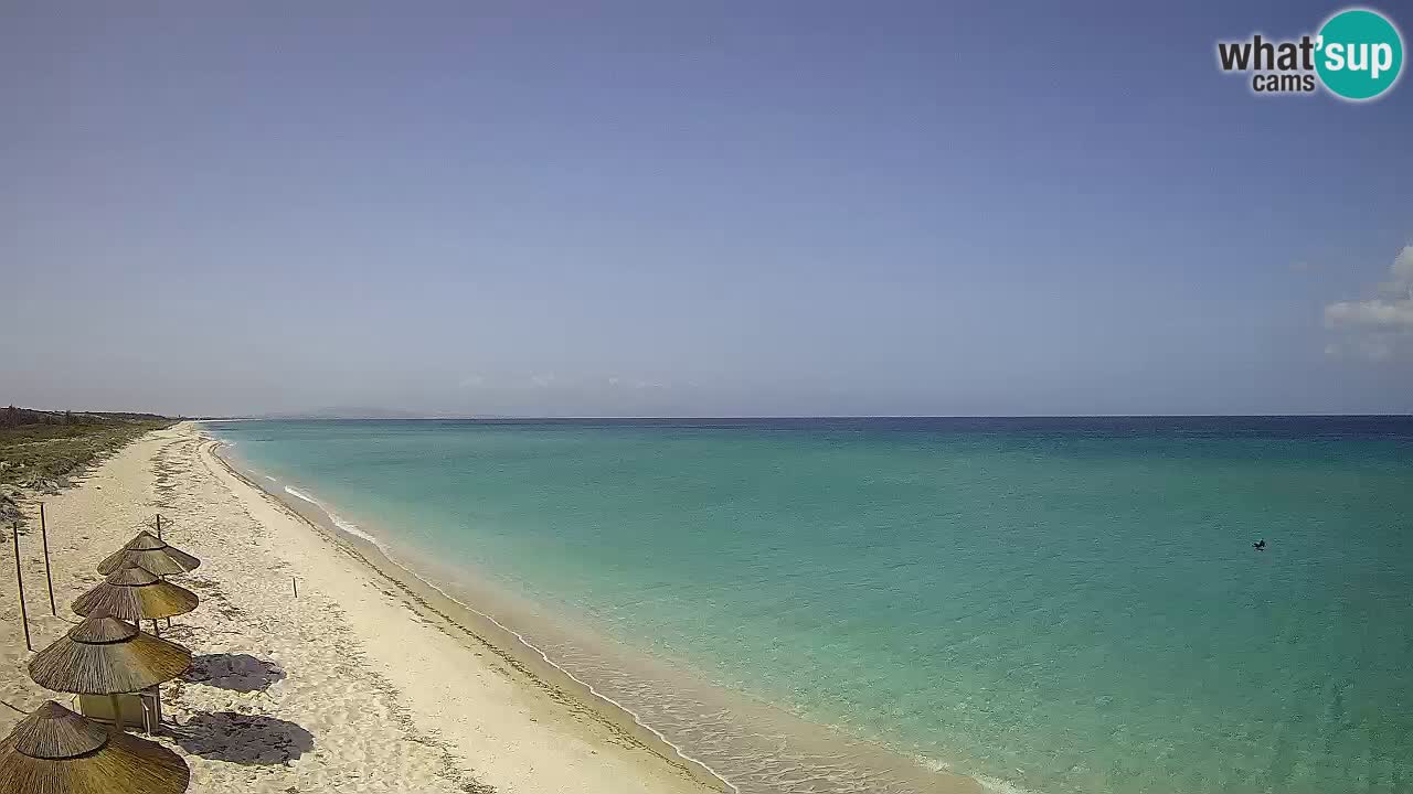 Plaža Le Saline spletna kamera Stintino – Sardinija