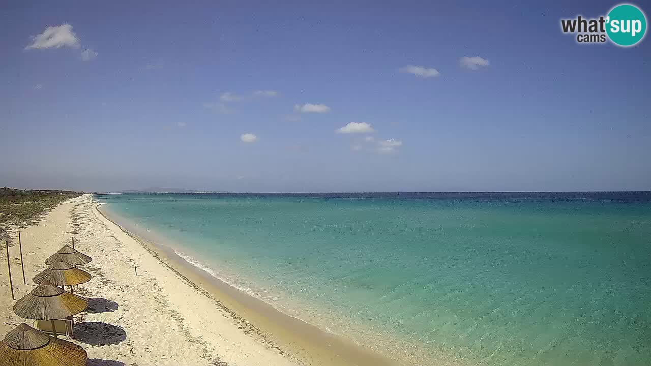 Plage Le Saline Live cam Stintino – Sardaigne