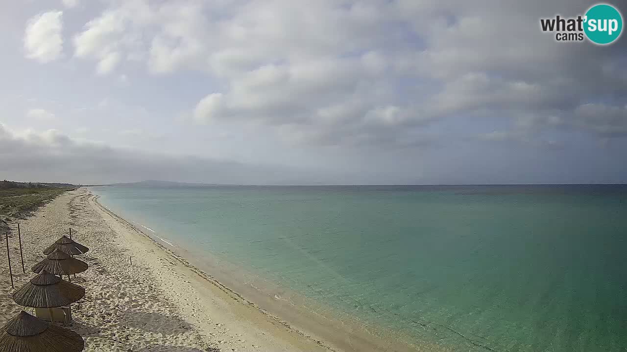 Plage Le Saline Live cam Stintino – Sardaigne