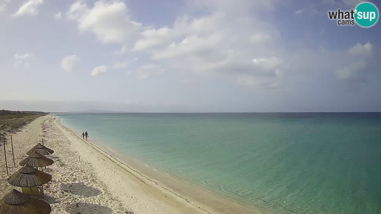 Beach Le Saline webcam live Stintino – Sardinia