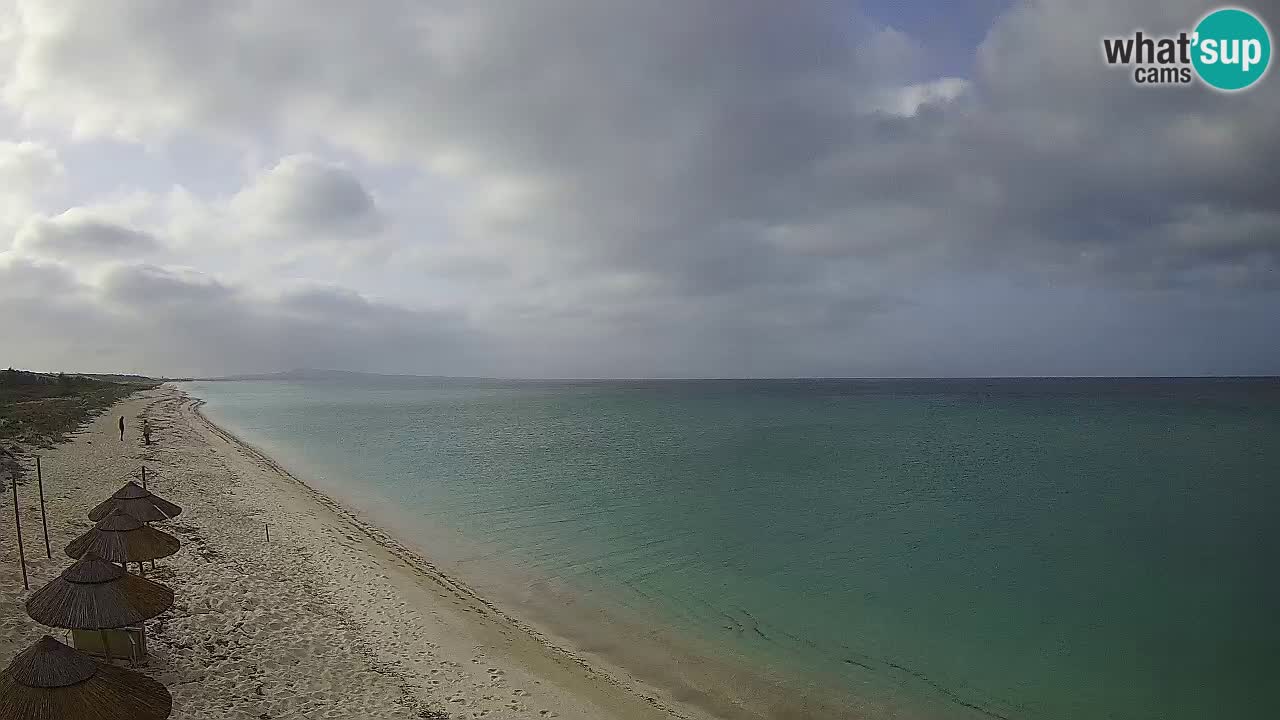 Spiaggia Le Saline webcam Stintino – Sardegna