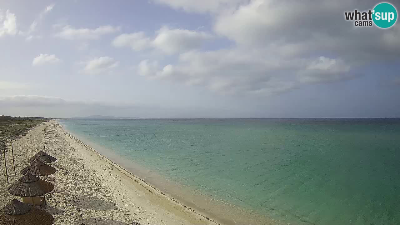 Plage Le Saline Live cam Stintino – Sardaigne