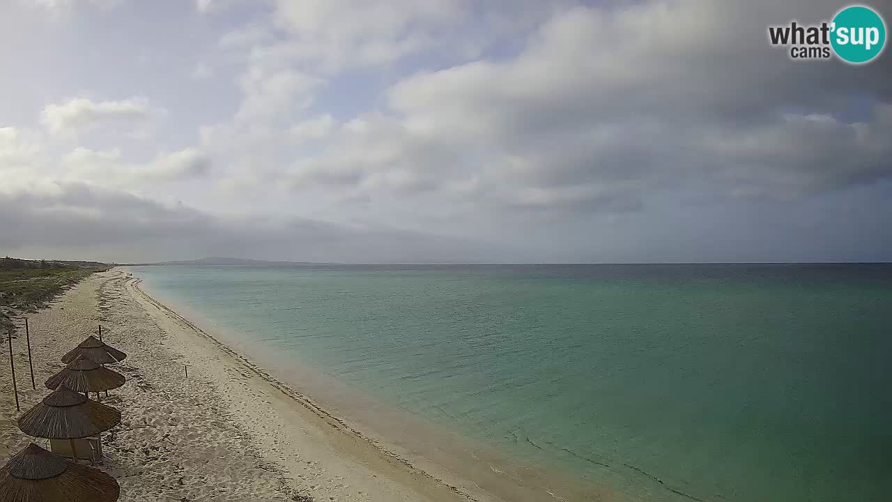 Plaža Le Saline web kamera Stintino – Sardinija