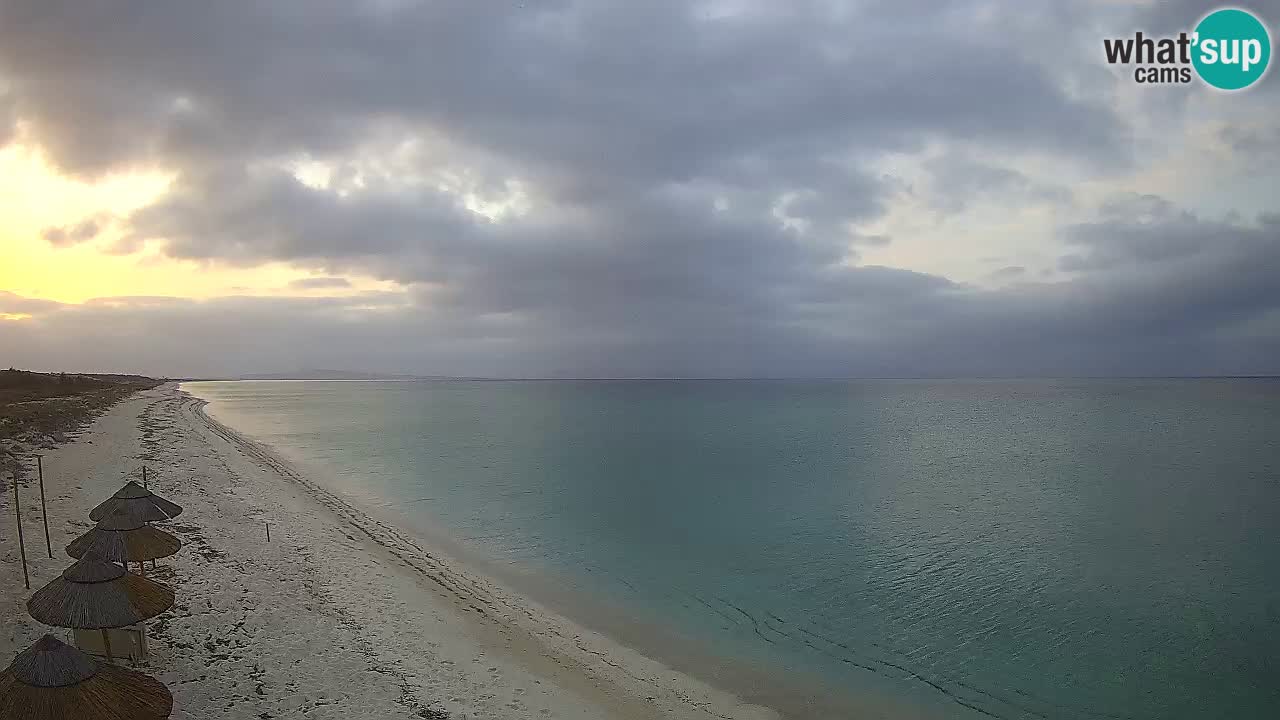 Spiaggia Le Saline webcam Stintino – Sardegna