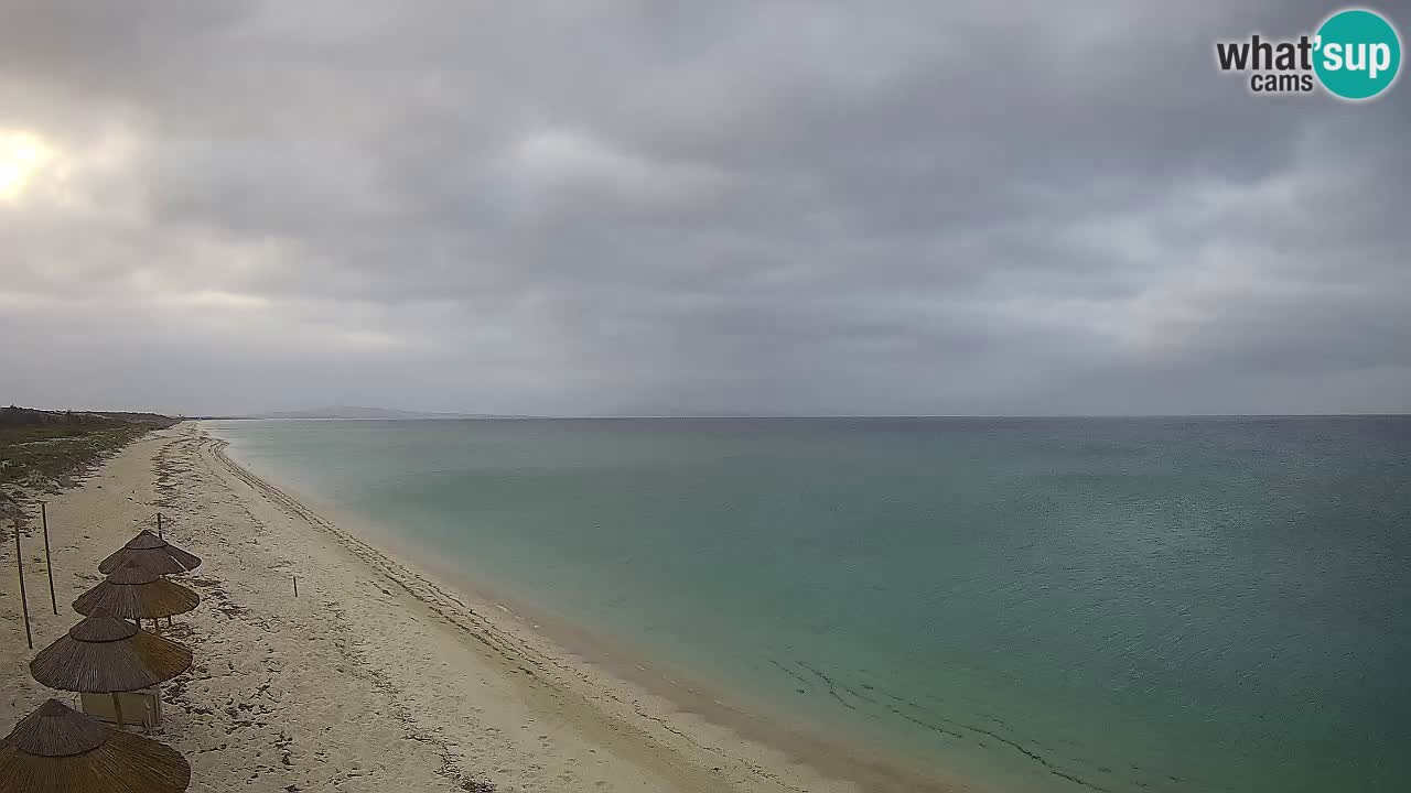 Playa Le Saline camera en vivo Stintino – Cerdeña