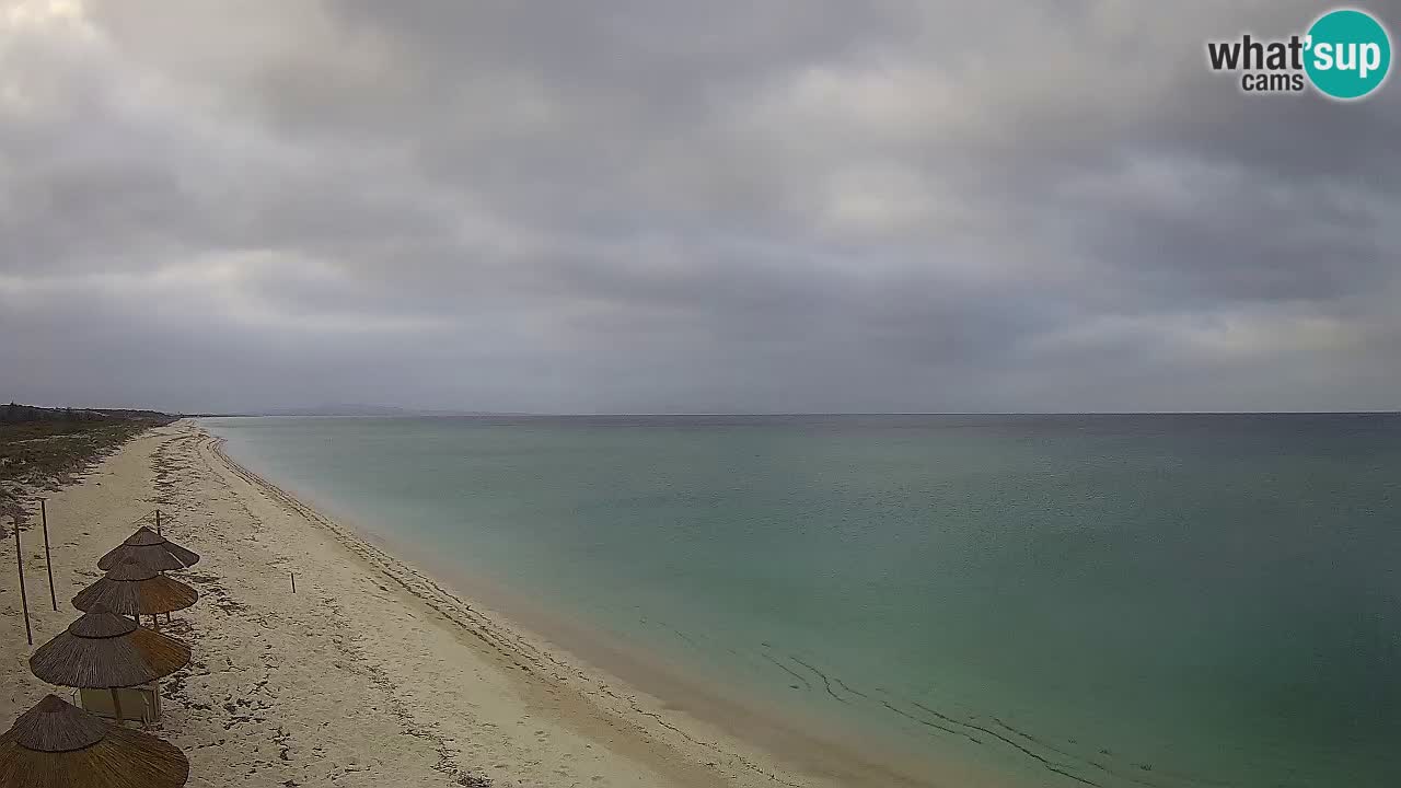 Playa Le Saline camera en vivo Stintino – Cerdeña