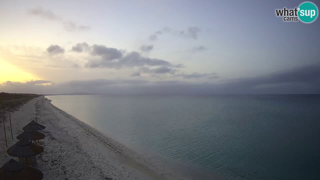 Plaža Le Saline web kamera Stintino – Sardinija