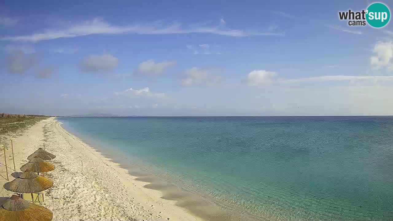 Strand Le Saline webcam Stintino – Sardinien