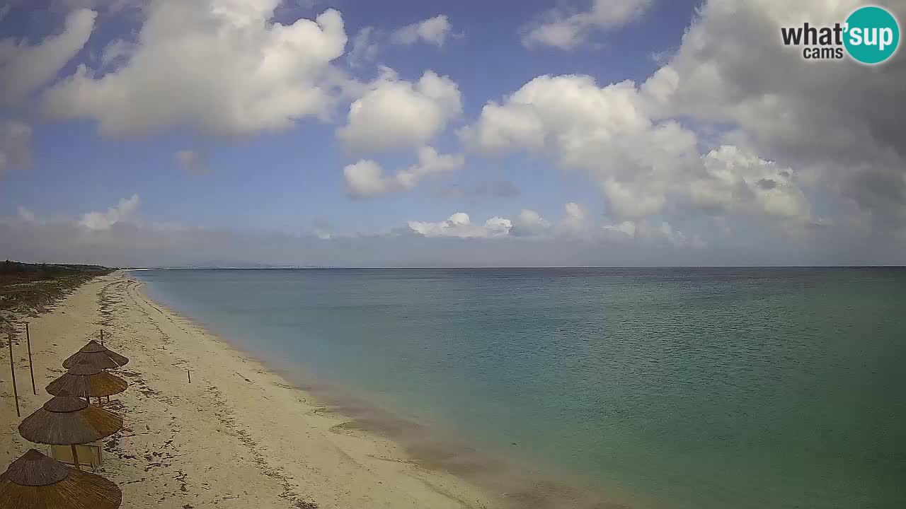 Beach Le Saline webcam live Stintino – Sardinia