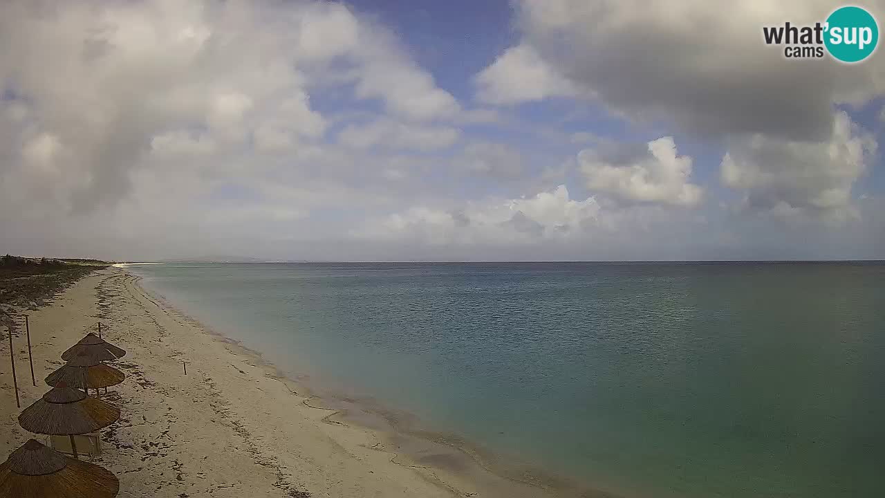 Plage Le Saline Live cam Stintino – Sardaigne