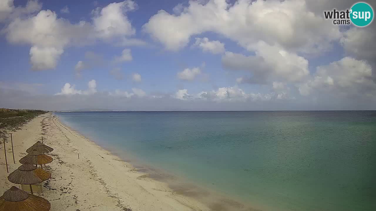Playa Le Saline camera en vivo Stintino – Cerdeña