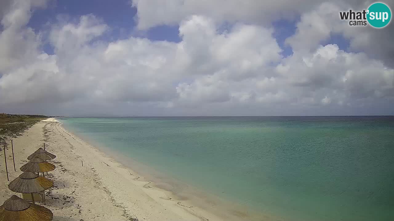 Beach Le Saline webcam live Stintino – Sardinia