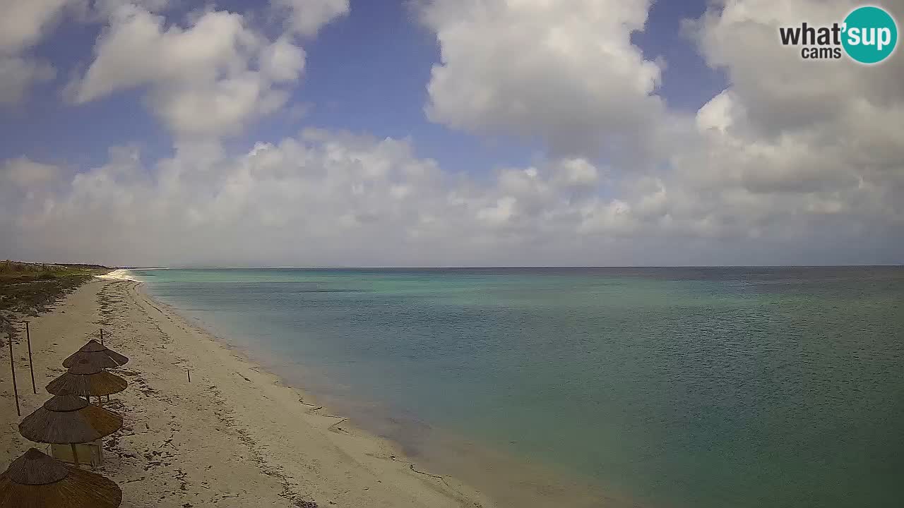 Plage Le Saline Live cam Stintino – Sardaigne