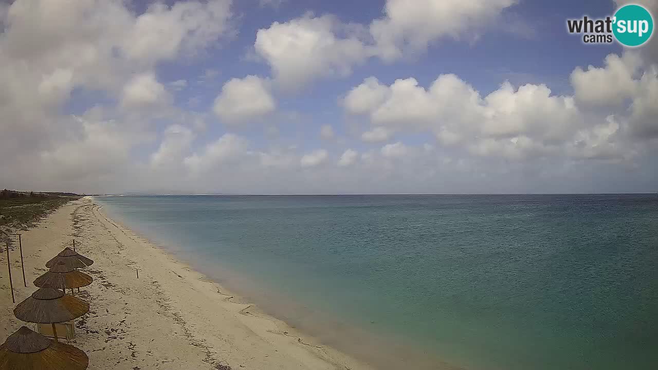 Spiaggia Le Saline webcam Stintino – Sardegna