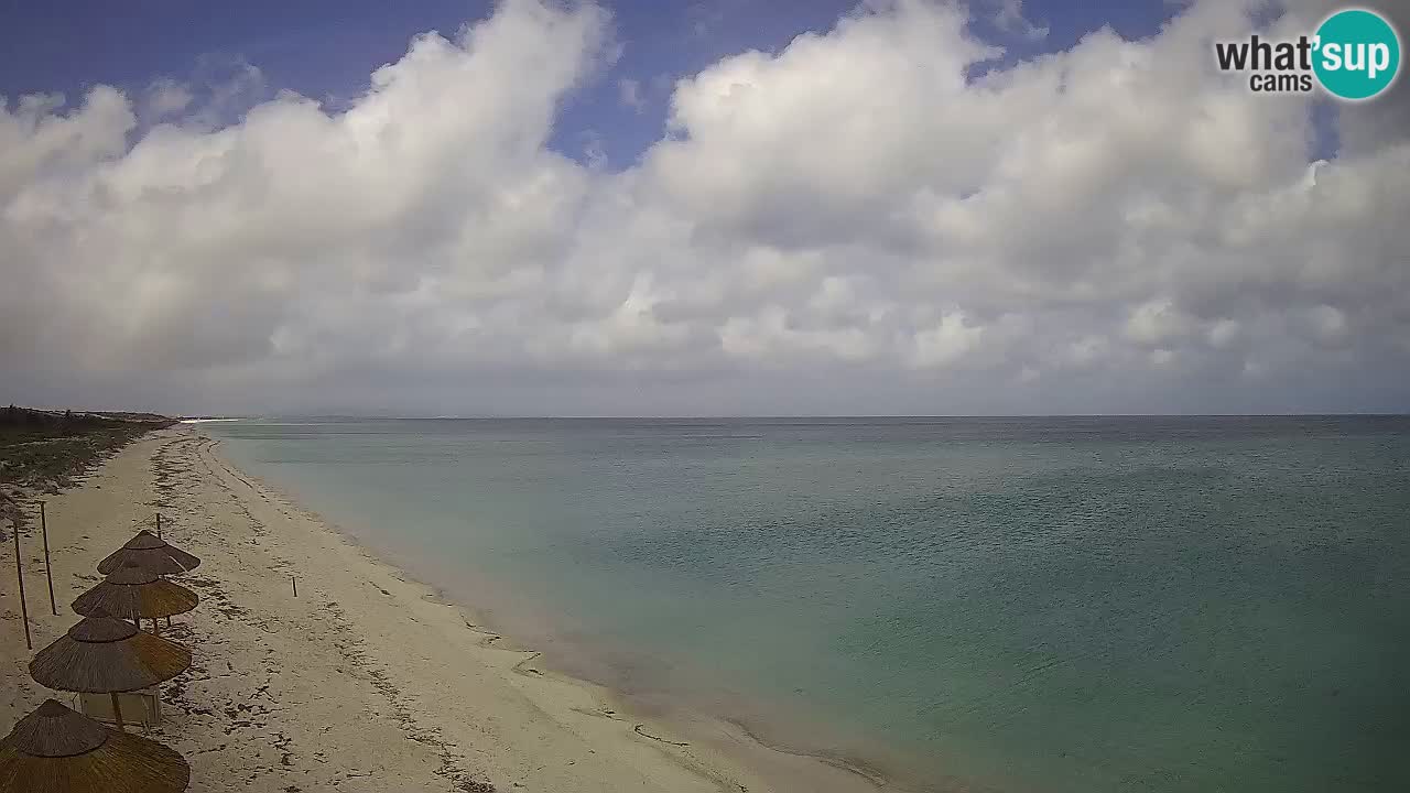 Plaža Le Saline web kamera Stintino – Sardinija