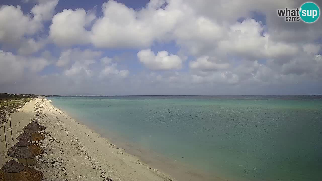Plaža Le Saline web kamera Stintino – Sardinija