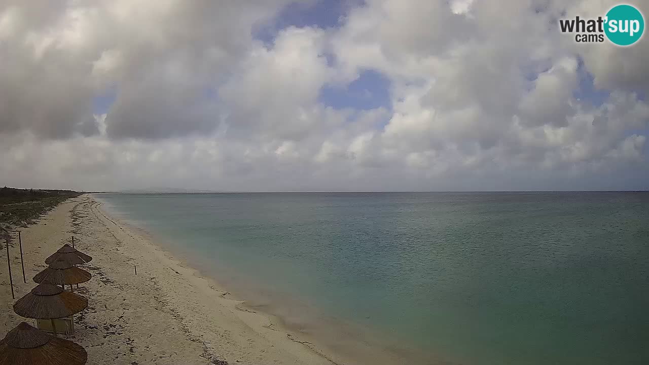 Spiaggia Le Saline webcam Stintino – Sardegna