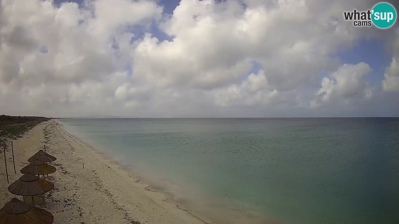 Plaža Le Saline web kamera Stintino – Sardinija