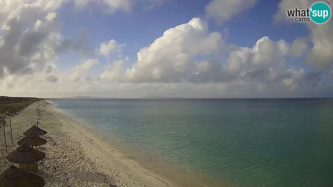 Beach Le Saline webcam live Stintino – Sardinia