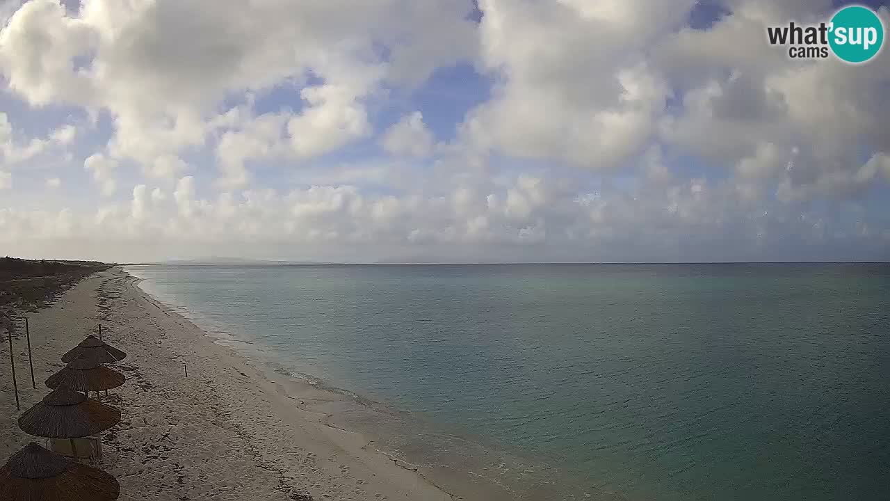 Strand Le Saline webcam Stintino – Sardinien
