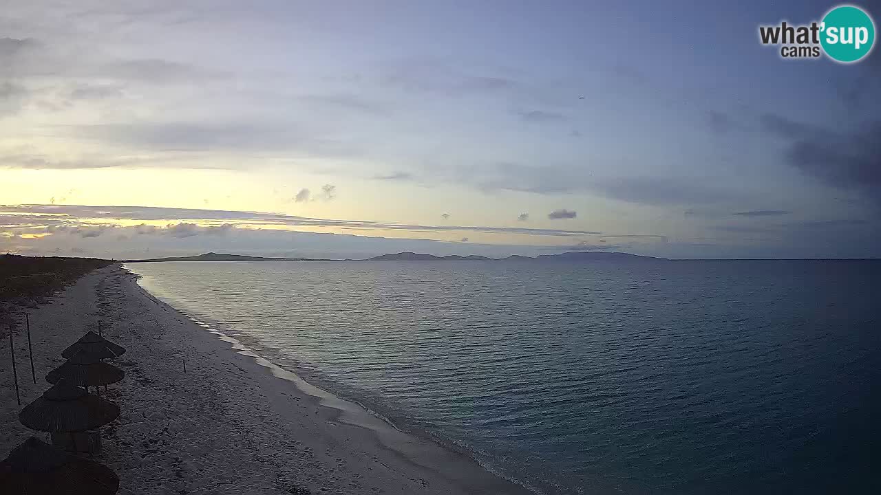 Strand Le Saline webcam Stintino – Sardinien