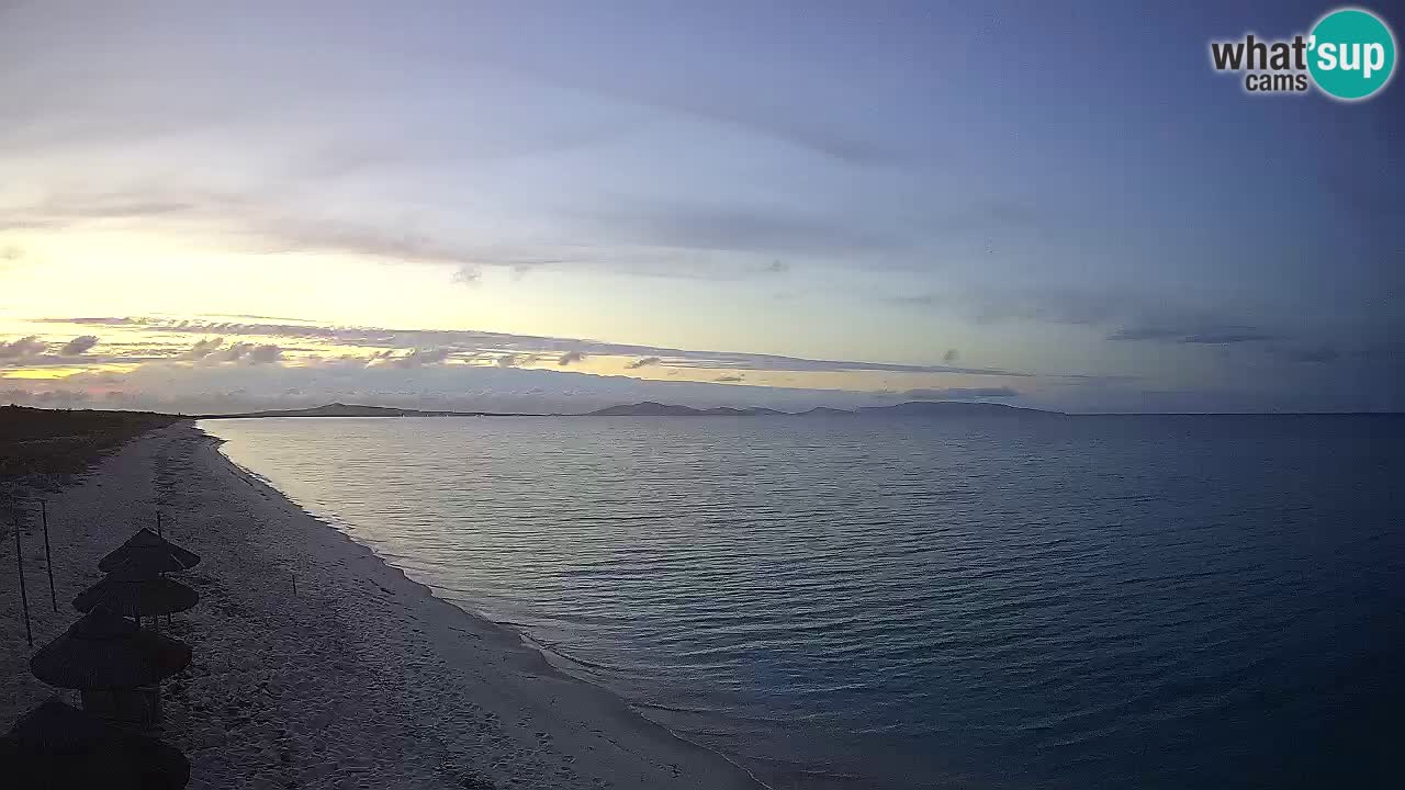 Strand Le Saline webcam Stintino – Sardinien