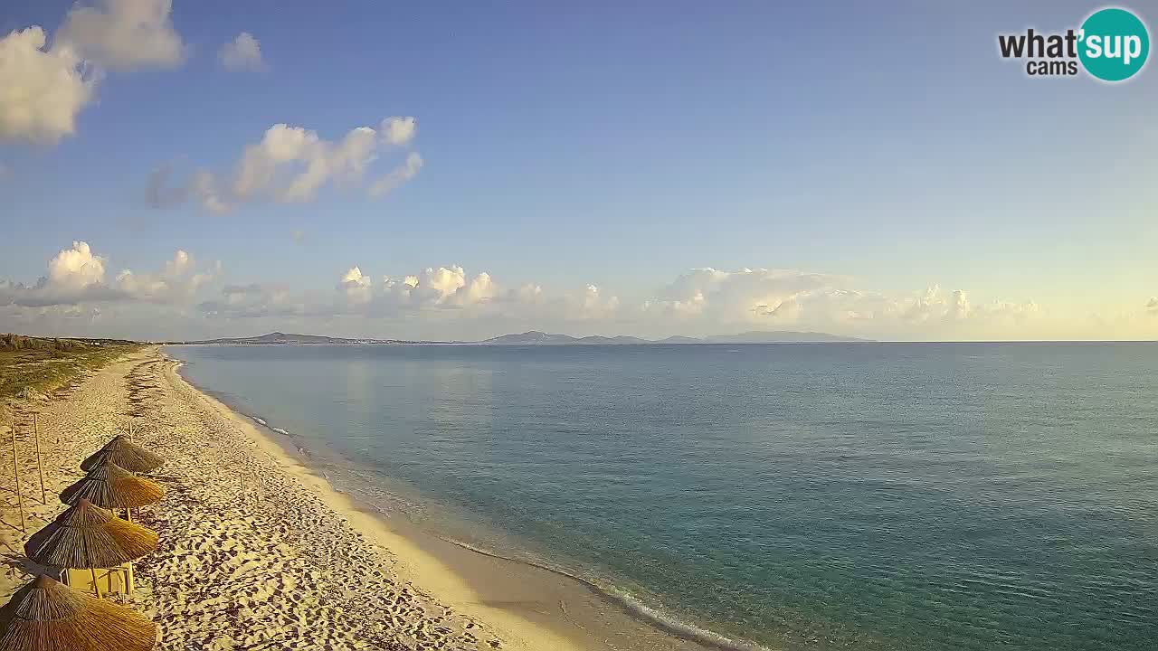 Plaža Le Saline spletna kamera Stintino – Sardinija