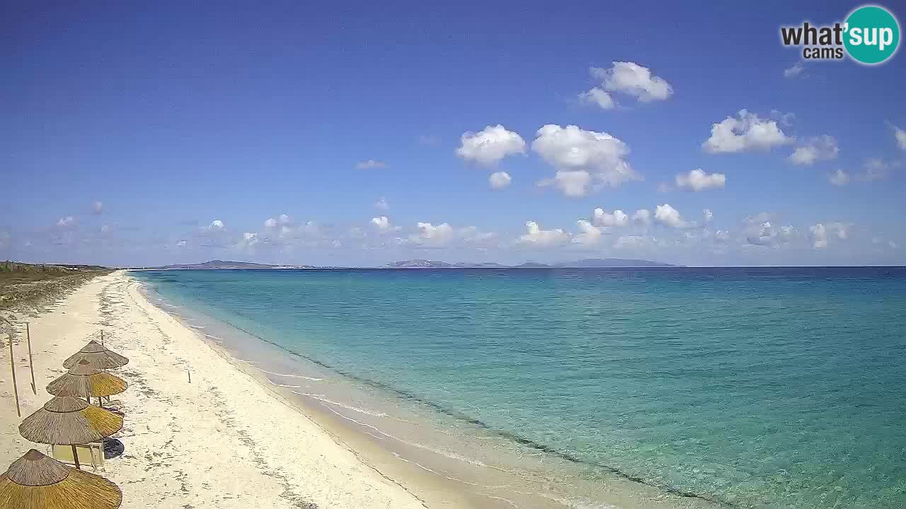 Plage Le Saline Live cam Stintino – Sardaigne
