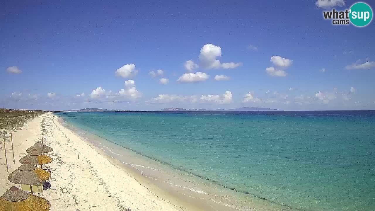 Beach Le Saline webcam live Stintino – Sardinia