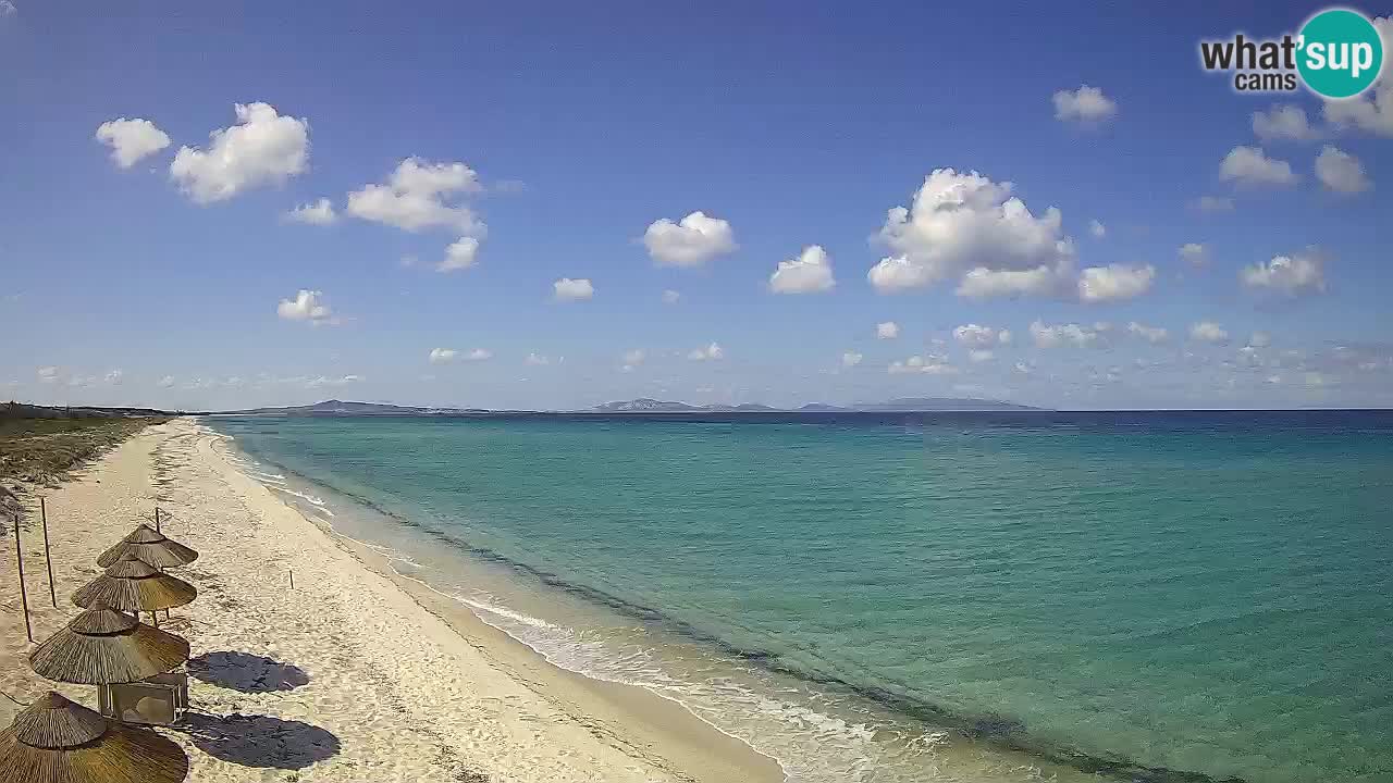 Plaža Le Saline spletna kamera Stintino – Sardinija