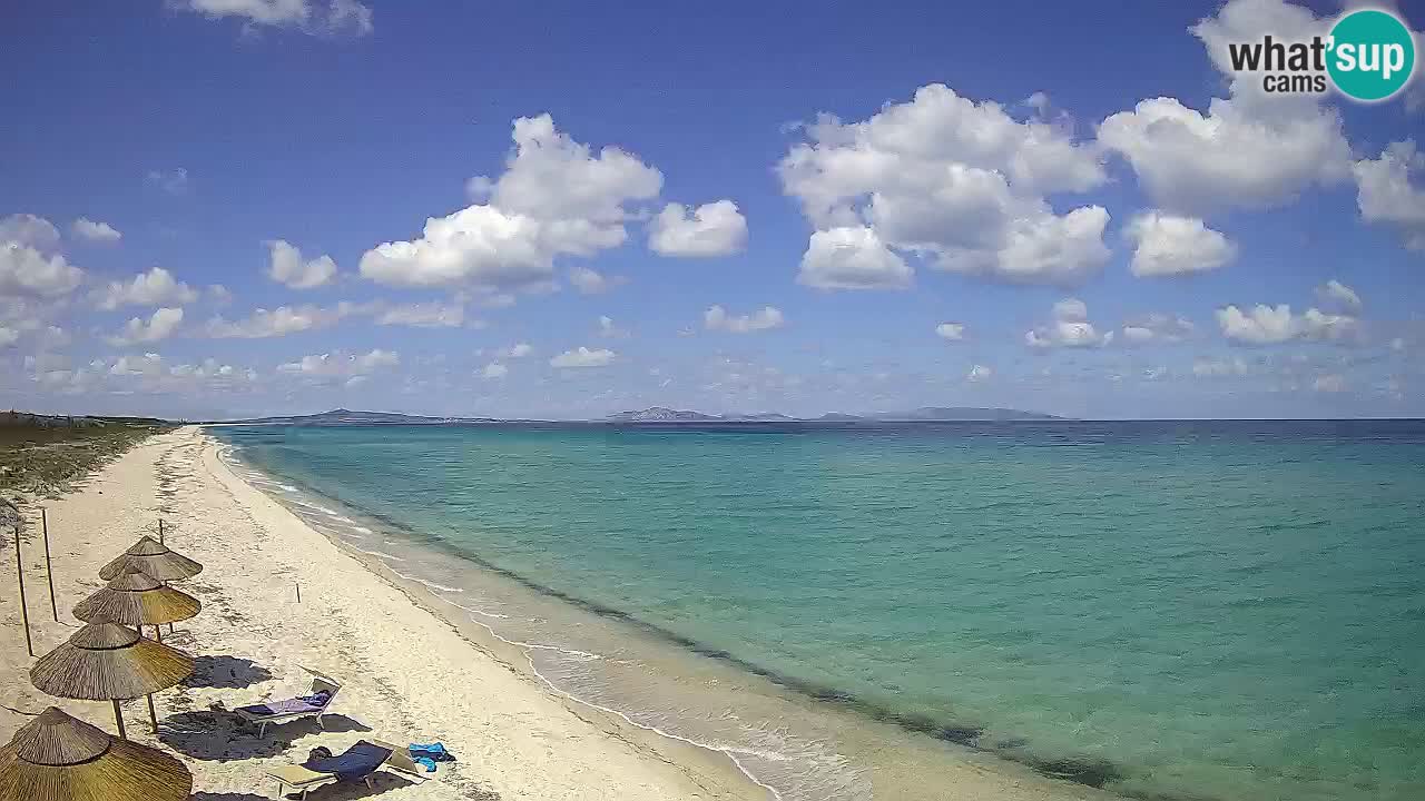 Strand Le Saline webcam Stintino – Sardinien