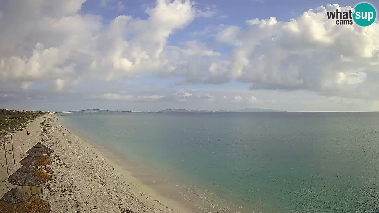 Plaža Le Saline spletna kamera Stintino – Sardinija