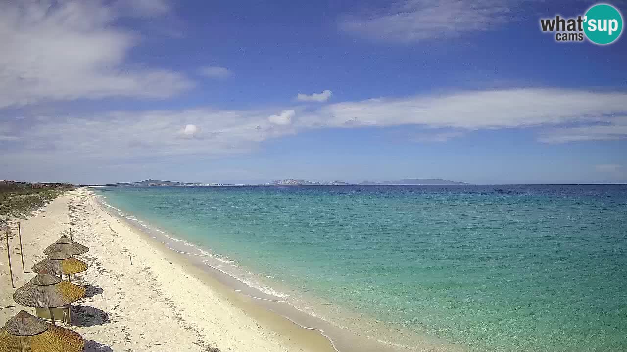 Beach Le Saline webcam live Stintino – Sardinia