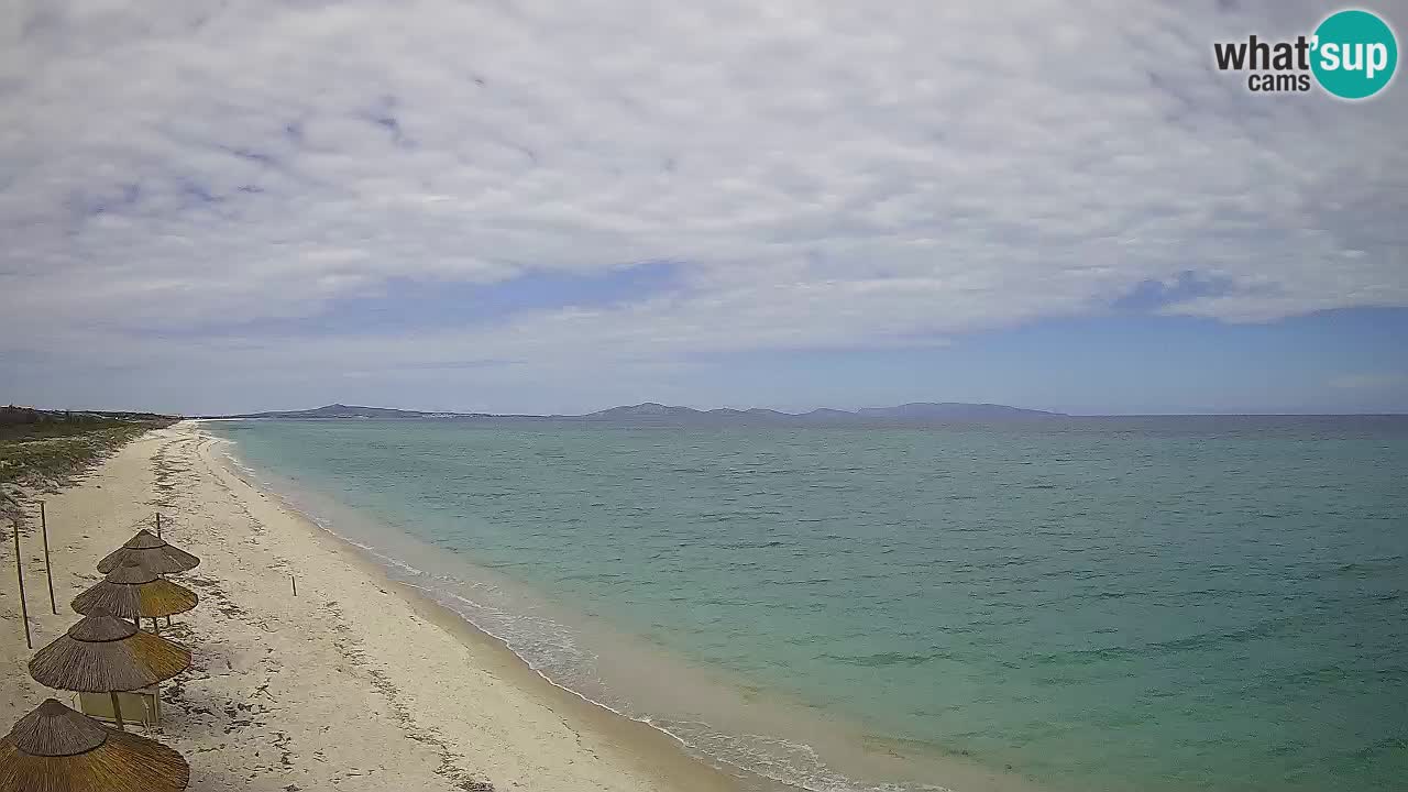 Plaža Le Saline spletna kamera Stintino – Sardinija