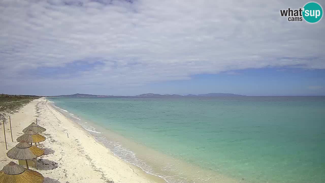 Spiaggia Le Saline webcam Stintino – Sardegna