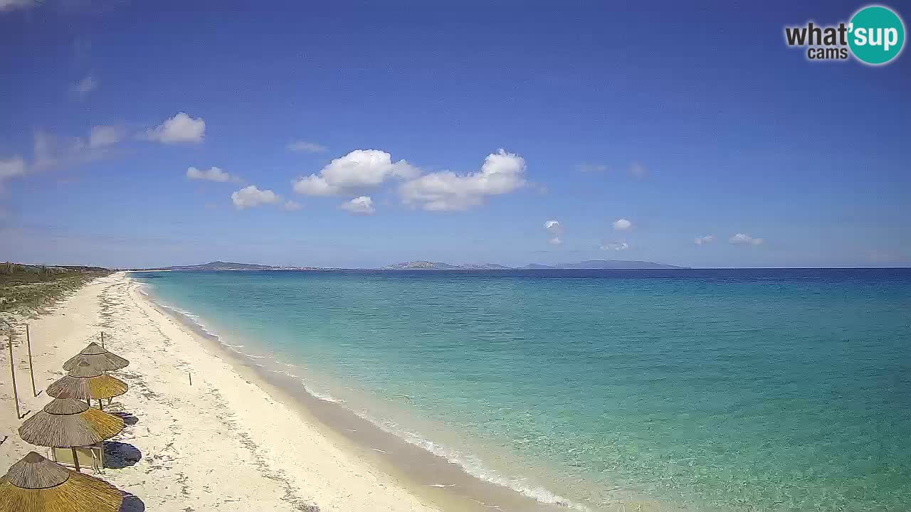 Strand Le Saline webcam Stintino – Sardinien