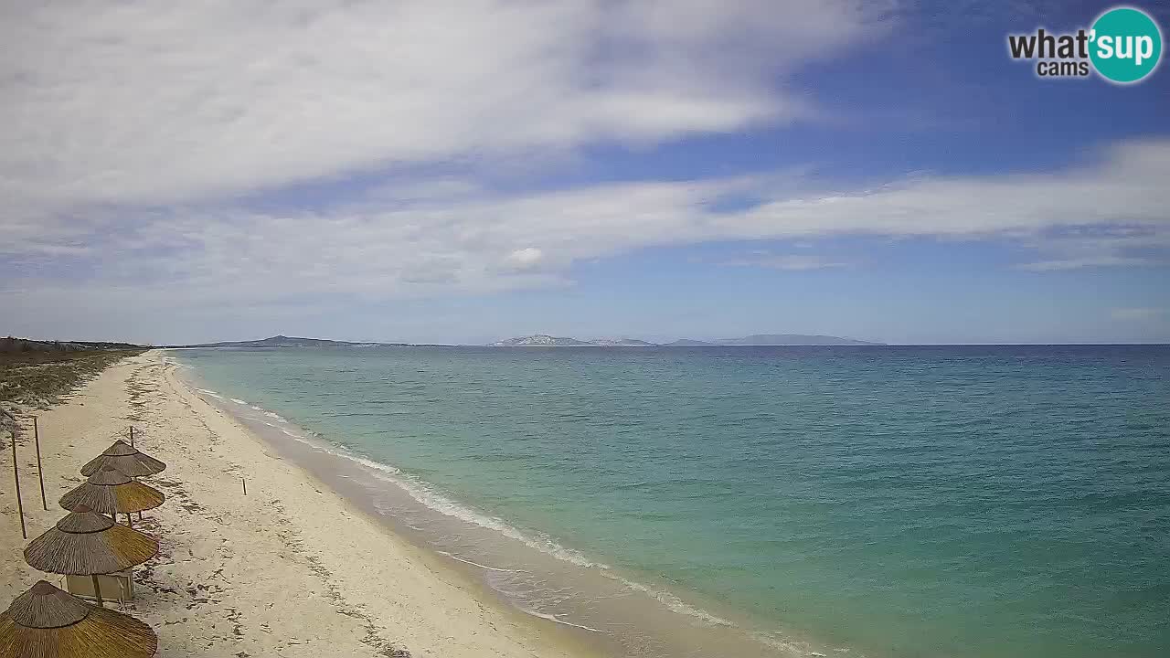Strand Le Saline webcam Stintino – Sardinien