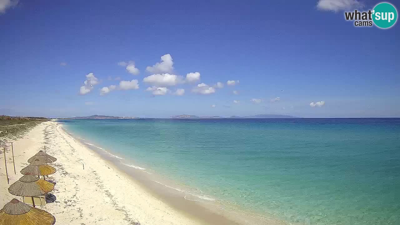 Beach Le Saline webcam live Stintino – Sardinia