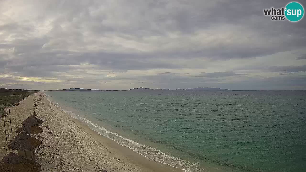 Spiaggia Le Saline webcam Stintino – Sardegna