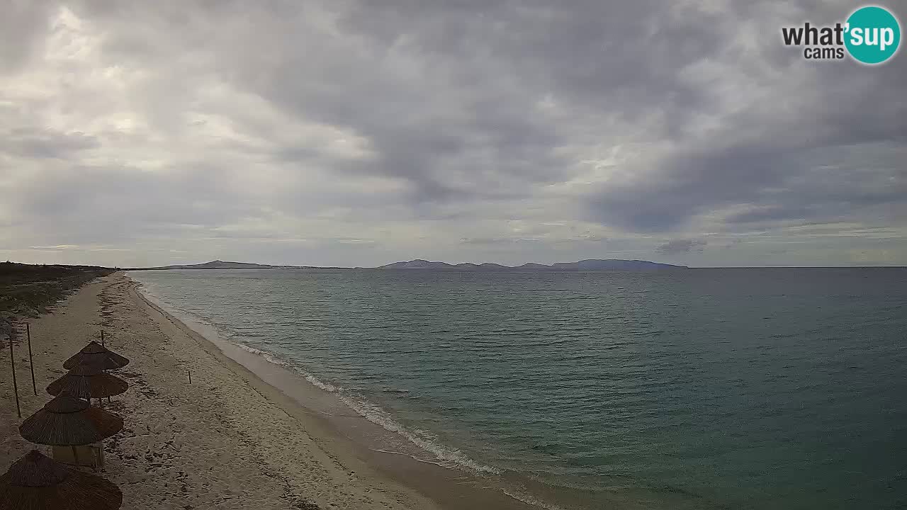 Plaža Le Saline web kamera Stintino – Sardinija
