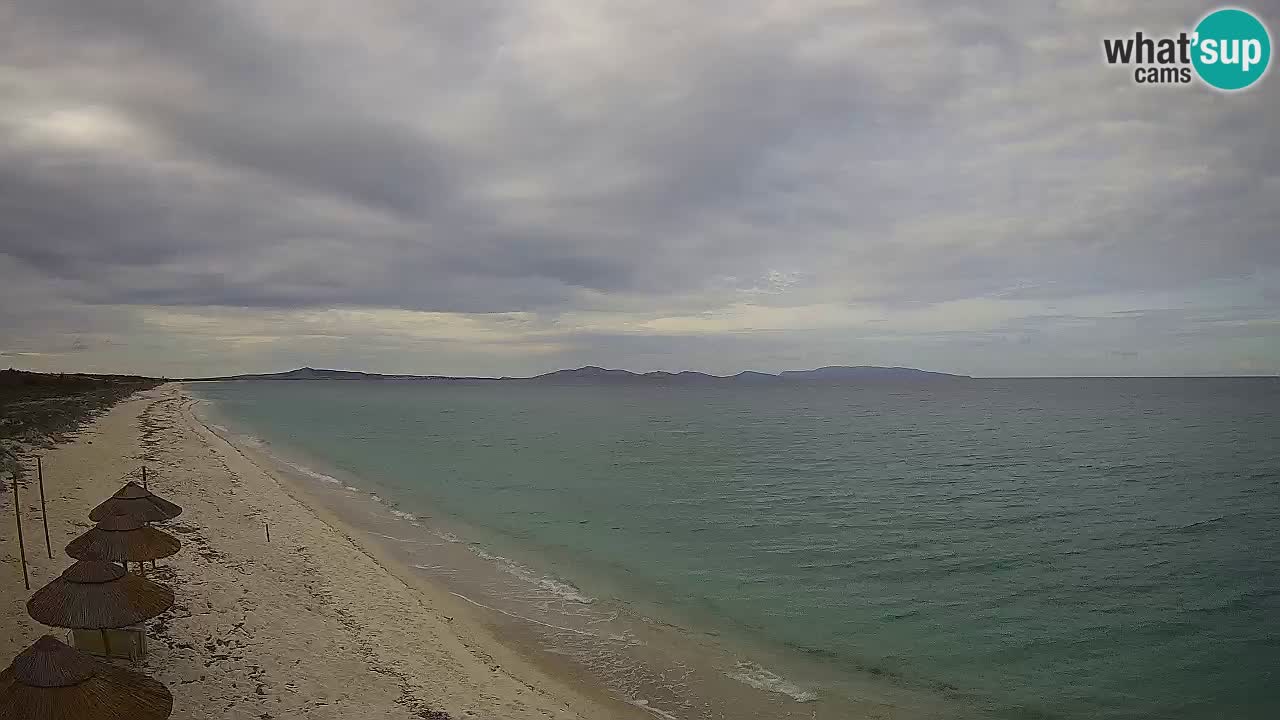 Spiaggia Le Saline webcam Stintino – Sardegna