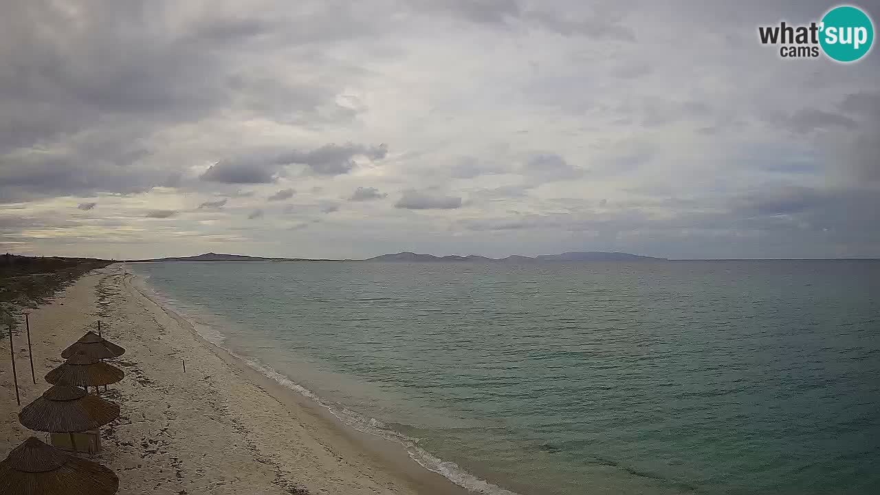 Spiaggia Le Saline webcam Stintino – Sardegna