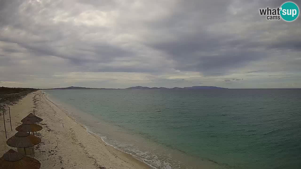 Playa Le Saline camera en vivo Stintino – Cerdeña