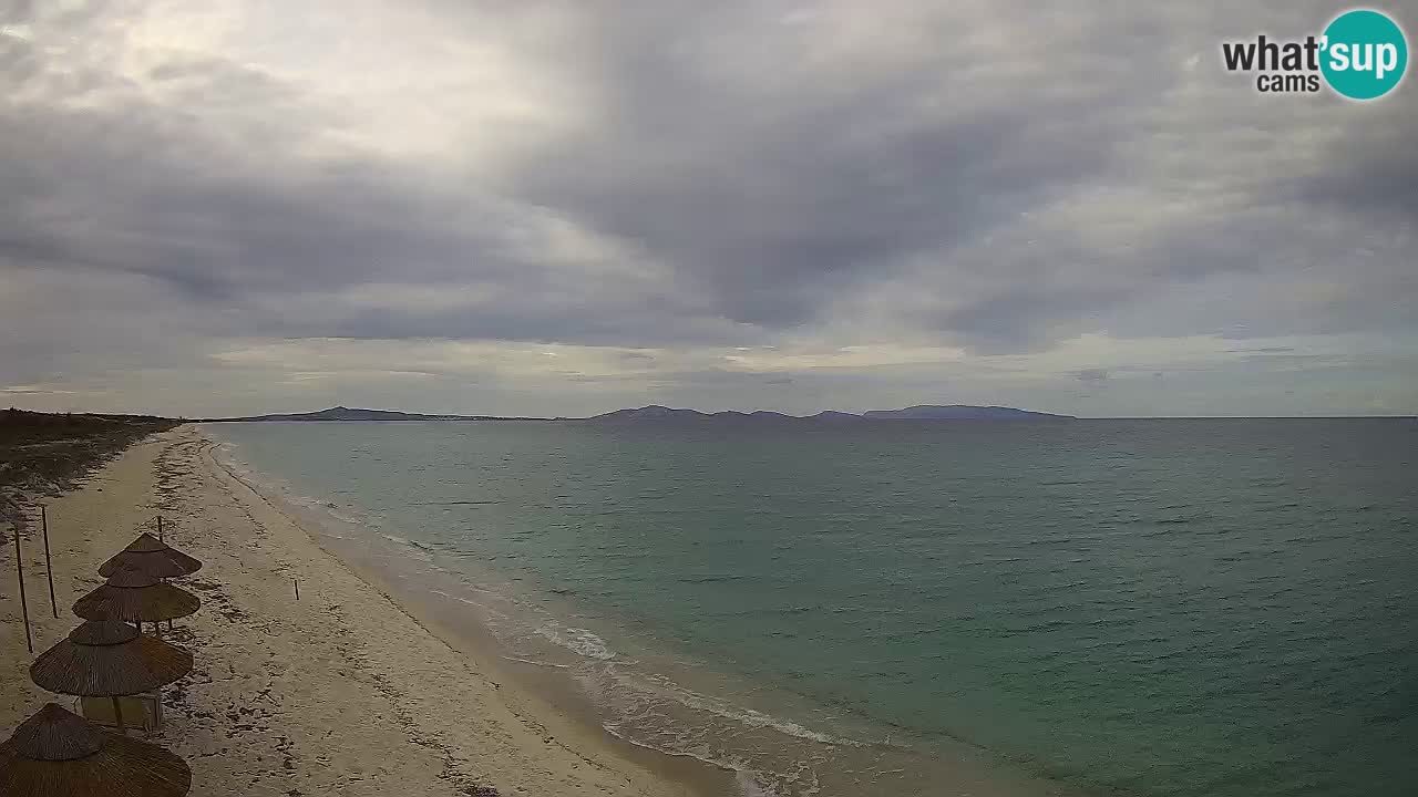 Playa Le Saline camera en vivo Stintino – Cerdeña